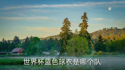 世界杯藍(lán)色球衣是哪個隊