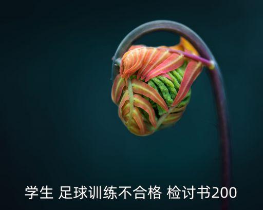 學(xué)生 足球訓(xùn)練不合格 檢討書200