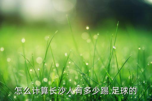 足球 運動 數(shù)據(jù),足球運動數(shù)據(jù)記錄app