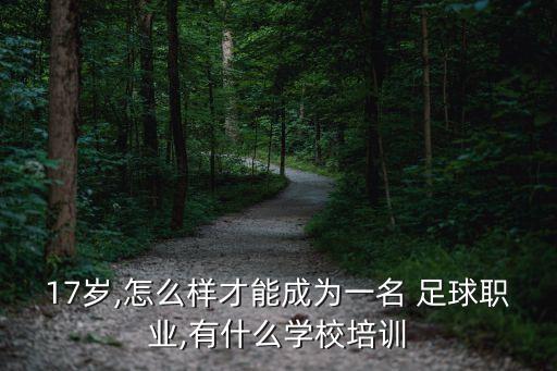 17歲,怎么樣才能成為一名 足球職業(yè),有什么學校培訓