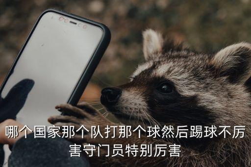 哪個(gè)國家那個(gè)隊(duì)打那個(gè)球然后踢球不厲害守門員特別厲害