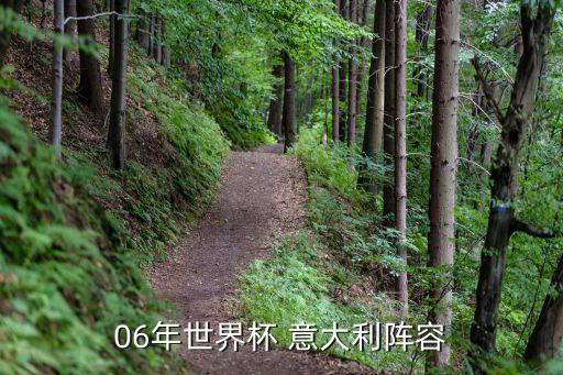 意大利足球隊隊員