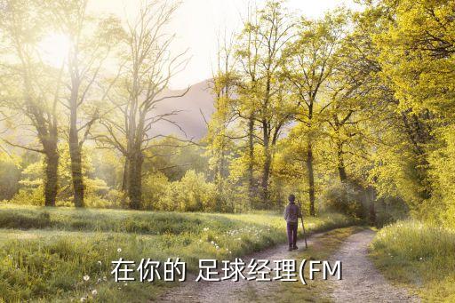 英國(guó)足球南北聯(lián)賽
