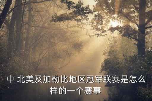 中 北美及加勒比地區(qū)冠軍聯(lián)賽是怎么樣的一個賽事