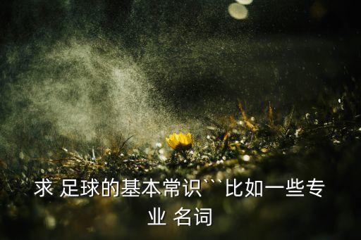 求 足球的基本常識(shí)```比如一些專業(yè) 名詞