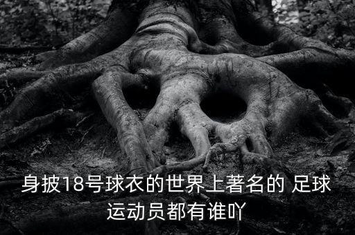 身披18號(hào)球衣的世界上著名的 足球運(yùn)動(dòng)員都有誰吖