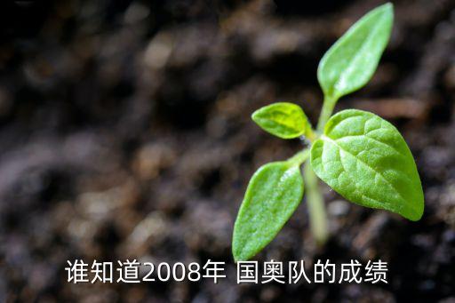 誰知道2008年 國奧隊(duì)的成績