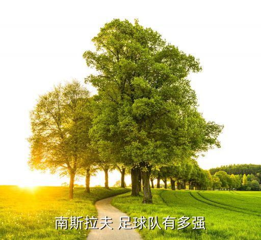黑山國(guó)家足球,黑山足球運(yùn)動(dòng)員