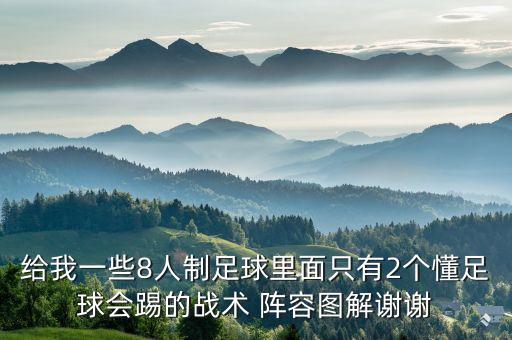 給我一些8人制足球里面只有2個(gè)懂足球會(huì)踢的戰(zhàn)術(shù) 陣容圖解謝謝