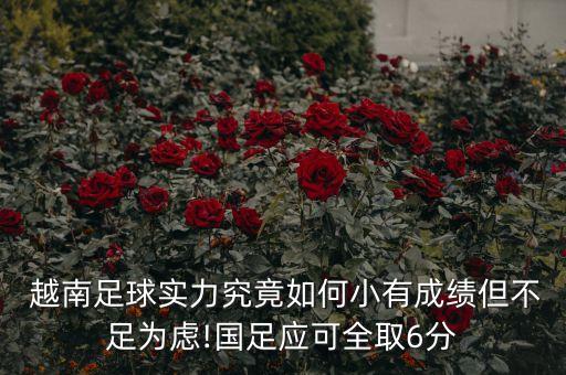 越南青年足球隊比賽視頻,中國青年足球隊對韓國比賽