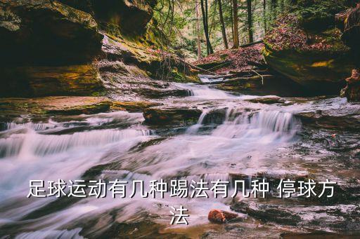  足球運(yùn)動(dòng)有幾種踢法有幾種 停球方法