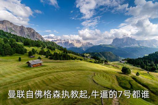曼聯(lián)自佛格森執(zhí)教起,牛逼的7號都誰