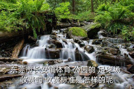東莞市長安鎮(zhèn)體育 公園的 足球場 收費(fèi)嗎 收費(fèi)標(biāo)準(zhǔn)是怎樣的呢