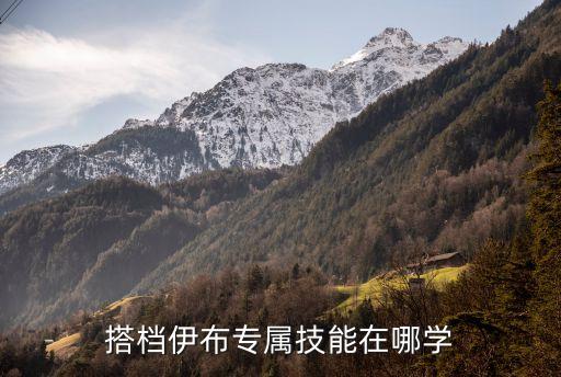 搭檔伊布專屬技能在哪學