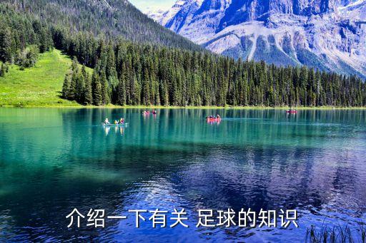 介紹一下有關(guān) 足球的知識(shí)