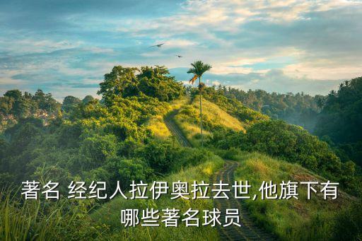 中國(guó)足球經(jīng)紀(jì)人名單