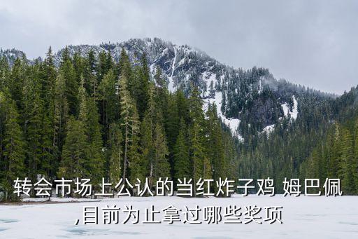 轉(zhuǎn)會(huì)市場(chǎng)上公認(rèn)的當(dāng)紅炸子雞 姆巴佩,目前為止拿過(guò)哪些獎(jiǎng)項(xiàng)