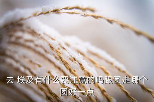 去 埃及有什么要注意的嗎跟團(tuán)走哪個團(tuán)好一點