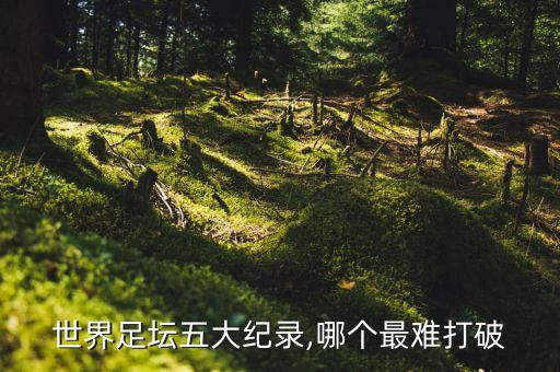 世界足壇五大紀錄,哪個最難打破