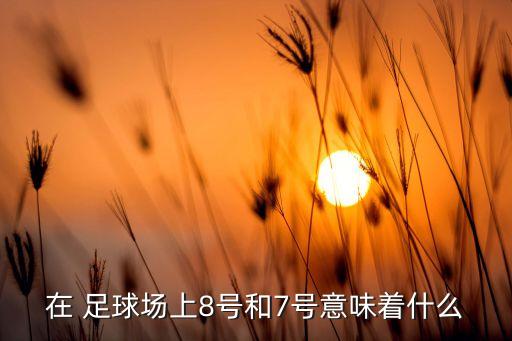 在 足球場上8號(hào)和7號(hào)意味著什么