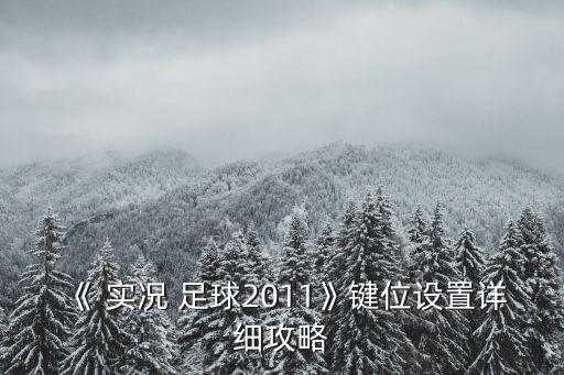 實(shí)況足球卡洛斯小號抽獎(jiǎng)