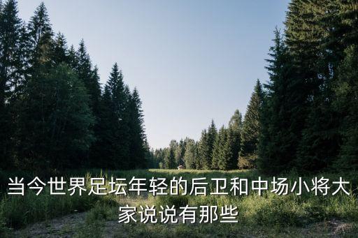 當(dāng)今世界足壇年輕的后衛(wèi)和中場小將大家說說有那些