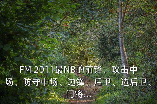 FM 2011最NB的前鋒、攻擊中場、防守中場、邊鋒、后衛(wèi)、邊后衛(wèi)、門將...