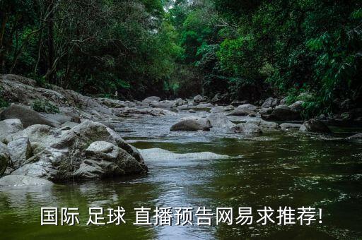 國(guó)際 足球 直播預(yù)告網(wǎng)易求推薦!