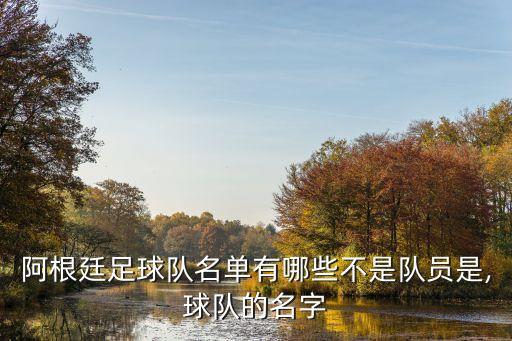 阿根廷足球隊名單有哪些不是隊員是,球隊的名字
