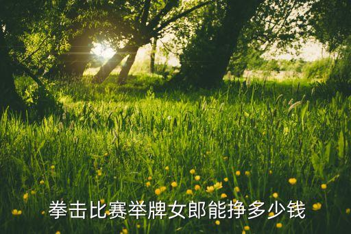  拳擊比賽舉牌女郎能掙多少錢(qián)