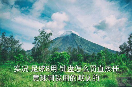  實況 足球8用 鍵盤怎么罰直接任意球啊我用的默認的