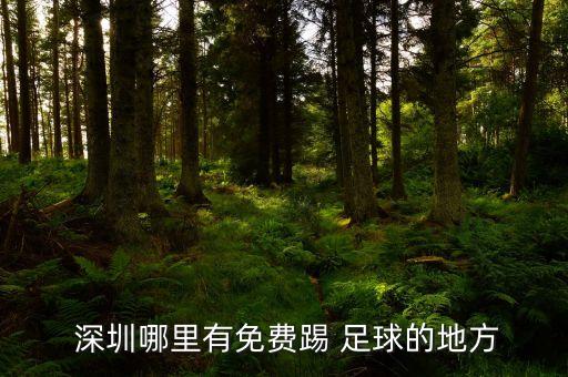  深圳哪里有免費(fèi)踢 足球的地方