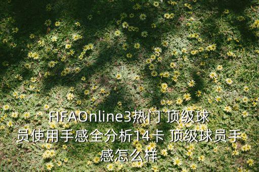 FIFAOnline3熱門 頂級(jí)球員使用手感全分析14卡 頂級(jí)球員手感怎么樣