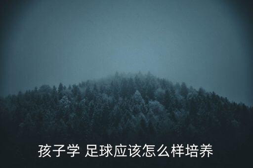 孩子學 足球應(yīng)該怎么樣培養(yǎng)