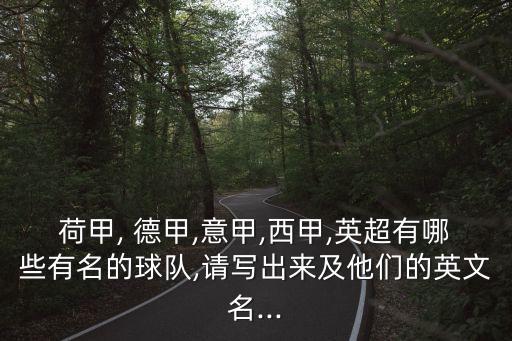 德甲足球隊(duì)伍,足球小說(shuō)主角在德甲