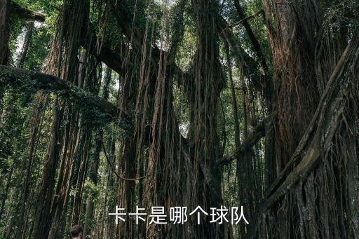 卡卡是哪個球隊