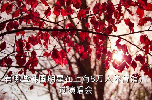 有哪些韓國明星在上海8萬人體育館開過演唱會(huì)