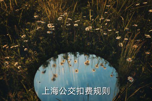 上海公交扣費規(guī)則