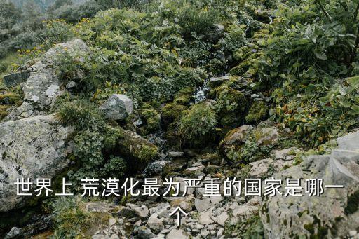 世界上 荒漠化最為嚴(yán)重的國(guó)家是哪一個(gè)