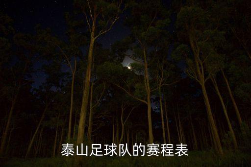 泰山足球隊的賽程表