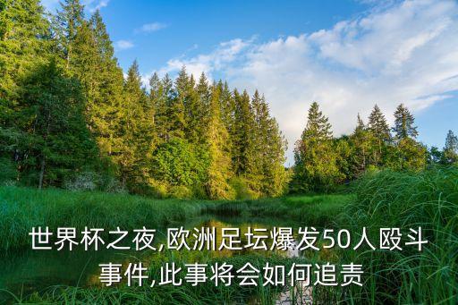 世界杯之夜,歐洲足壇爆發(fā)50人毆斗 事件,此事將會如何追責