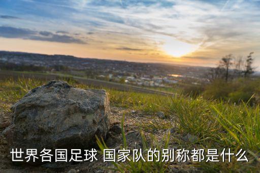 足球隊(duì)SPO是哪個(gè)國家,spo是哪個(gè)國家的縮寫