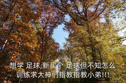 想學(xué) 足球,新買個(gè) 足球但不知怎么訓(xùn)練求大神們指教指教小弟!!!