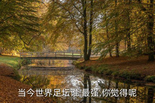 當(dāng)今世界足壇誰 最強(qiáng),你覺得呢