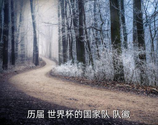 歷屆 世界杯的國(guó)家隊(duì) 隊(duì)徽