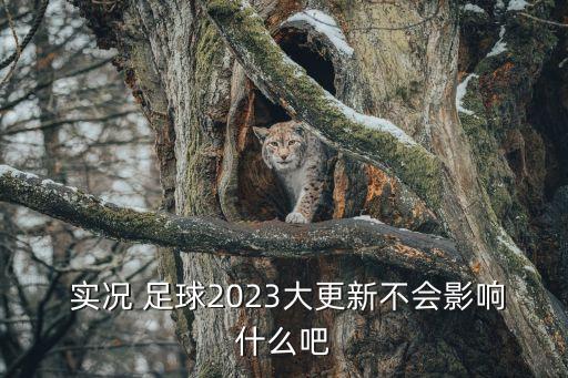  實況 足球2023大更新不會影響什么吧