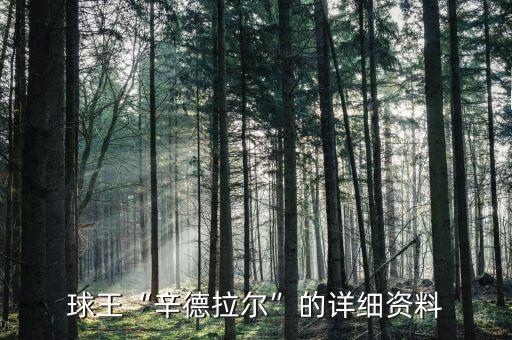 奧德國家足球隊,奧德是哪個國家的城市