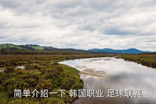 簡(jiǎn)單介紹一下 韓國(guó)職業(yè) 足球聯(lián)賽