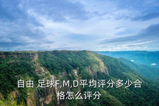 自由 足球F,M,D平均評分多少合格怎么評分