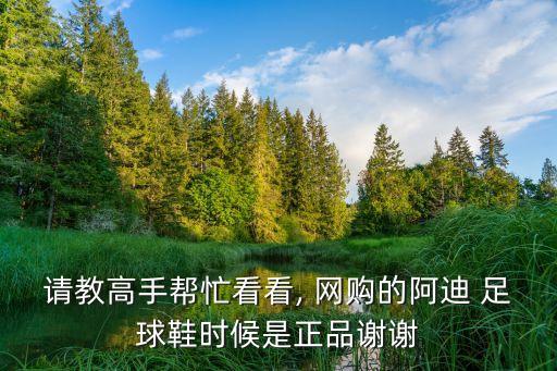 哪里網(wǎng)購(gòu)可以買(mǎi)到足球鞋真貨,鄭州哪里能買(mǎi)到足球鞋